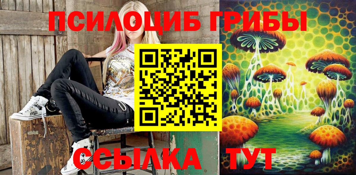 Псилоцибиновые грибы Psilocybine cubensis Фурманов