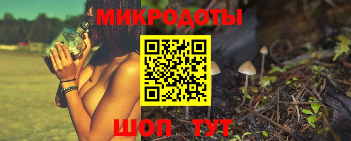 Фурманов  Псилоцибиновые грибы мицелий  Вход с VPN 